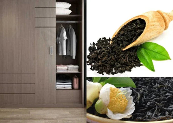 Cách chống ẩm mốc cho tủ quần áo hiệu quả.
