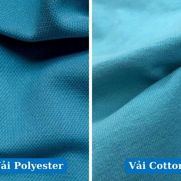 Cotton vs. Poly: Cuộc chiến không hồi kết.