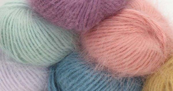 Len lông thỏ Angora - Mềm mại nhưng cần nâng niu