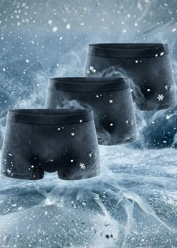 Combo 3 Quần Lót Lụa Băng IceVibes™ Mát Lạnh Lưới Khí Tàng Hình #Y2010 155 Màu Đen