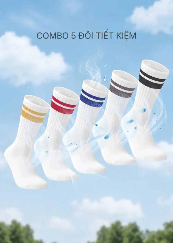 Combo 5 Vớ Thời Trang Cổ Trung Colored Line Ôm Nhẹ Chống Hằn #Y2010 160 Free Color
