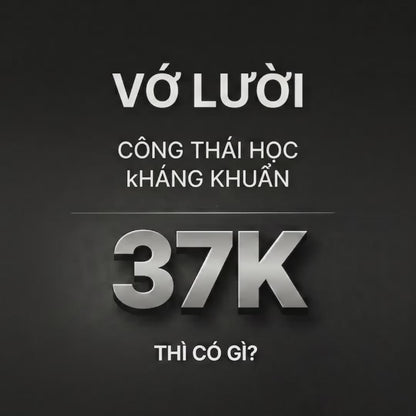 Vớ Lười Công Thái Học 90° Mềm Mịn Khử Mùi #Y2010 129 Đen
